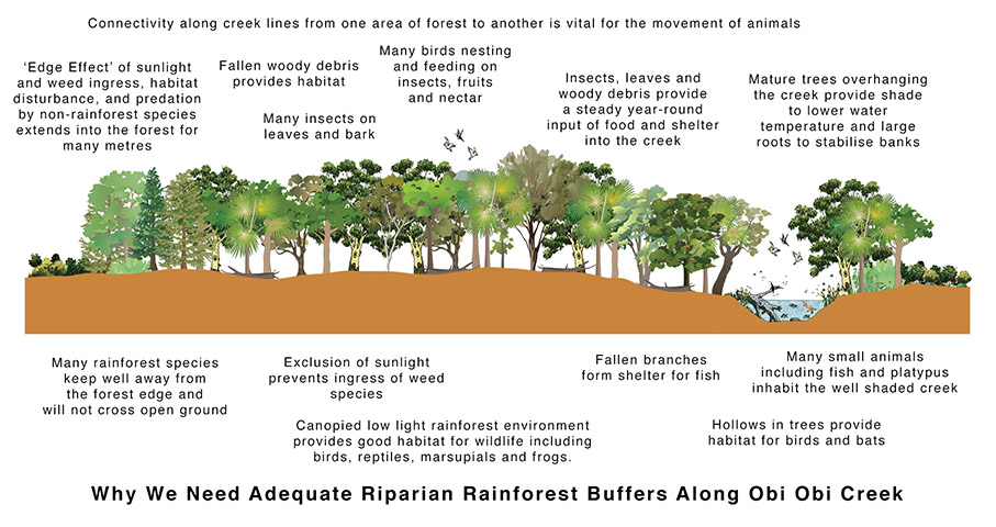 Obi Obi Parklands Riparian Zone